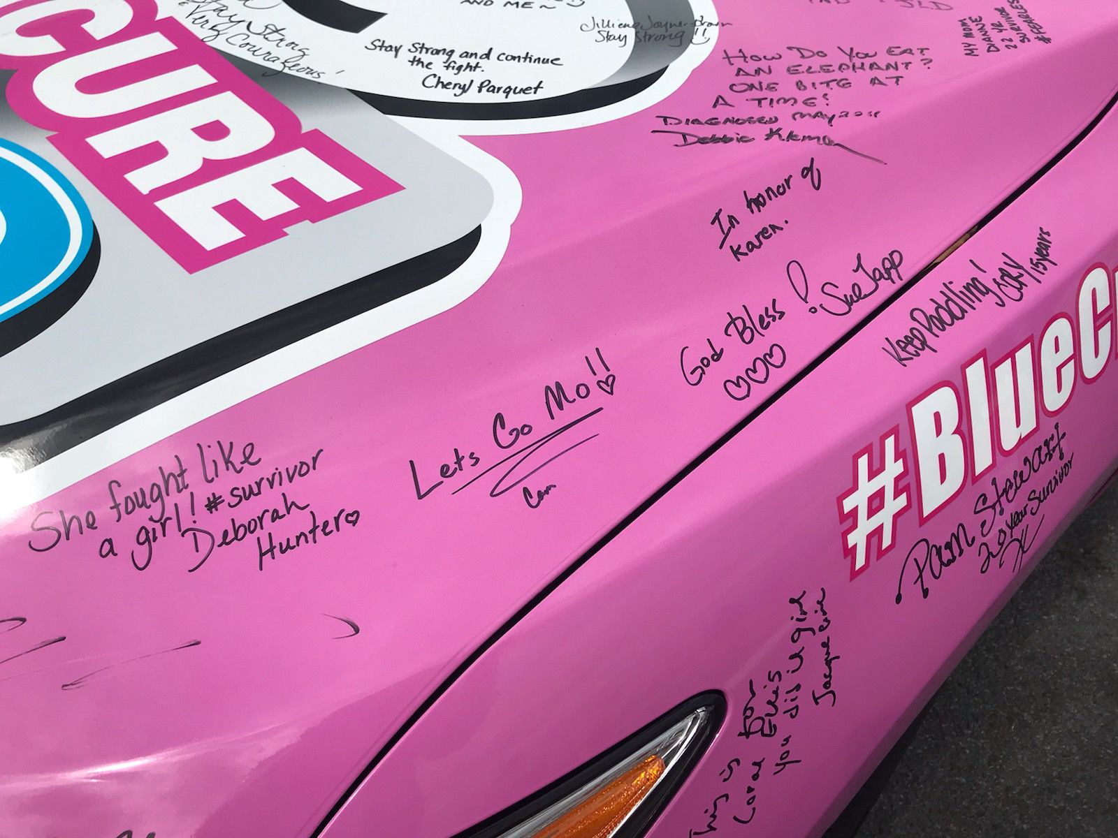 Paint Pit Wall Pink
